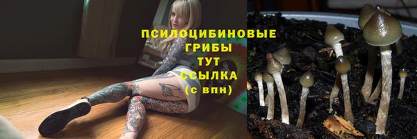 тгк Осташков