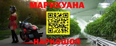 стаф Жуковский