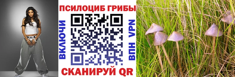Галлюциногенные грибы Psilocybe Мегион
