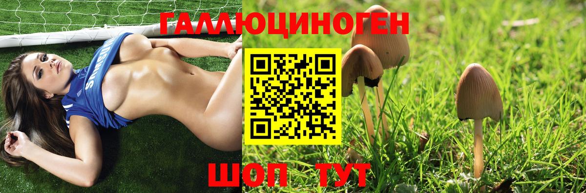 Псилоцибиновые грибы Psilocybine cubensis  хочу   Псилоцибиновые грибы Psilocybine cubensis  Мегион 