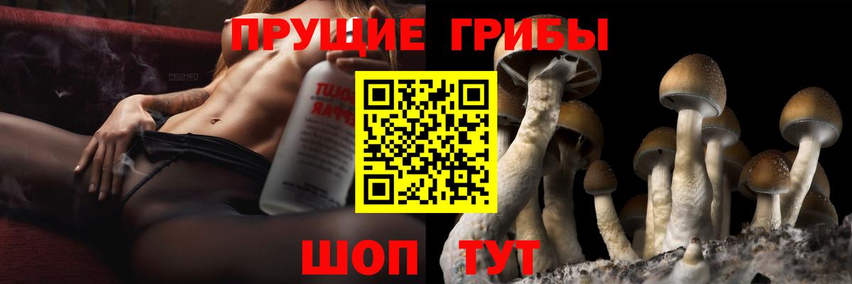 наркотики  Вход с VPN  Псилоцибиновые грибы мицелий  Мегион  Галлюциногенные грибы прущие грибы 